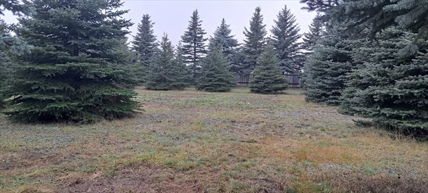 działka na sprzedaż 709m2 działka Żółtki