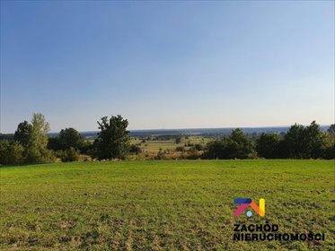 Działka budowlana na sprzedaż Drągowina 3 200m2 Foto 4