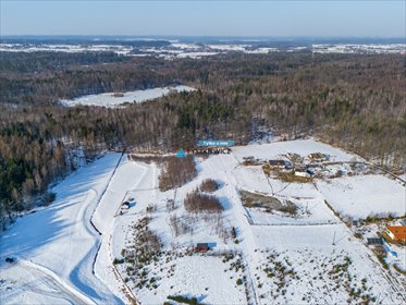 Działka 1501 m² pod dom z ogrodem, las, cisza, inwestycja działka Nowa Wieś Przywidzka