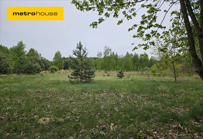 działka na sprzedaż 1054m2 działka Kamieniec