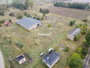 działka na sprzedaż 10900m2 działka Wierzbowa