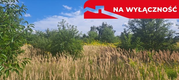 Działka 30 arów w Susznie - blisko Włodawy, polecam działka Suszno, Olszana