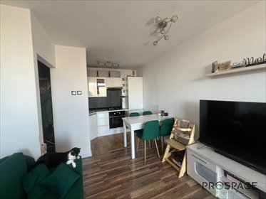 mieszkanie na sprzedaż 37m2 mieszkanie Zielona Góra, Tadeusza Zawadzkiego "Zośki"