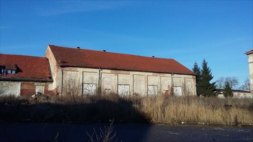lokal użytkowy na sprzedaż 1200m2 lokal użytkowy Grudziądz, Jagiellończyka