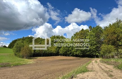 działka na sprzedaż 2000m2 działka Kosy