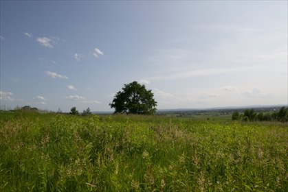 działka na sprzedaż 2200m2 działka Łukowa