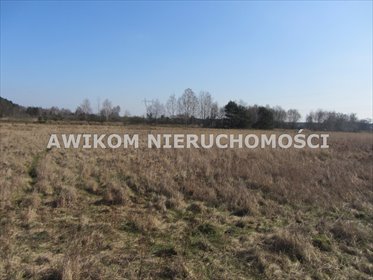 działka na sprzedaż 261600m2 działka Wólka Łasiecka