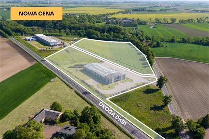 magazyn na sprzedaż 2631m2 magazyn Głuchowo