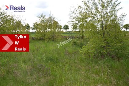 Działka budowlana na sprzedaż Kaliszki 1 290m2 Foto 1