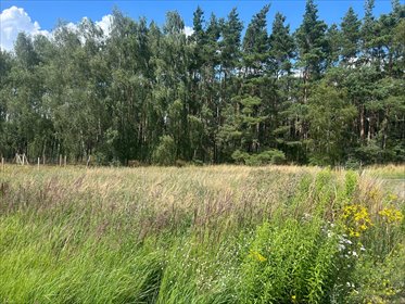 działka na sprzedaż 700m2 działka Siedlec