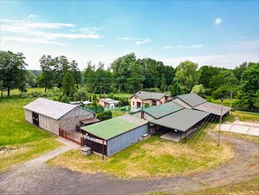 dom na sprzedaż 100m2 dom Stare Budy