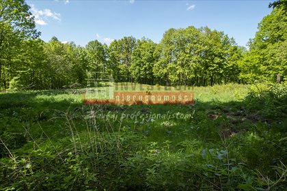 Działka budowlana 4250 m2 w Jarnołtówku – spokojna okolica działka Jarnołtówek