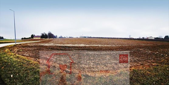 działka na sprzedaż 2000m2 działka Tomaszowice