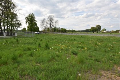 Działka budowlana na sprzedaż Tążewy 2 500m2 Foto 4