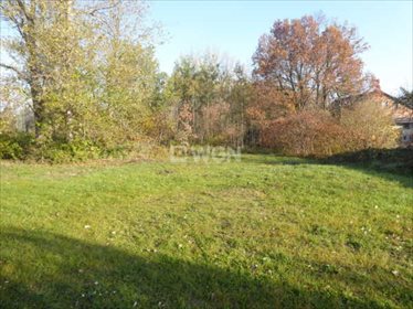 Działka inwestycyjna pod dzierżawę Romanów, Romanów, Romanów 1 000m2 Foto 4
