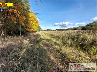 Działka budowlana 1300 m2 w Żarowie – cisza i las działka Żarowo