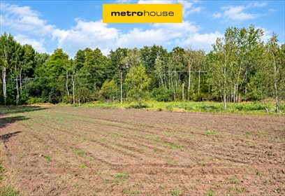 Na sprzedaż działka 2408 m² w Cisie-Zagrudzie z WZ na dom działka Cisie-Zagrudzie