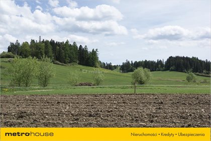 Działka rolna na sprzedaż Niedzica, Łapsze Niżne 1 247m2 Foto 4