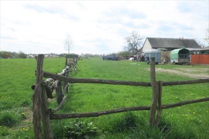 Działka budowlana na sprzedaż Cerekiew, Cerekiew 7 832m2 Foto 6