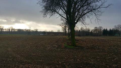 Działka budowlana na sprzedaż Liszkowice 8 000m2 Foto 6