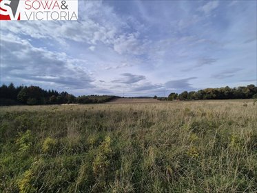 Zapraszam do zakupu działki 7 600 m² w Kłaczynie działka Kłaczyna