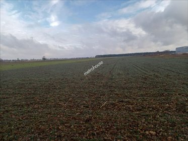 działka na sprzedaż 73900m2 działka Nowy Modlin