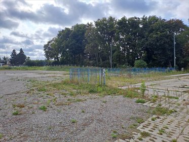 działka na wynajem 3900m2 działka Straszyn, Starogardzka