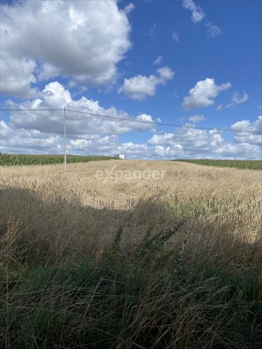 działka na sprzedaż 11900m2 działka Trojanów