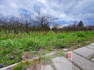 działka na sprzedaż 3000m2 działka Motycz