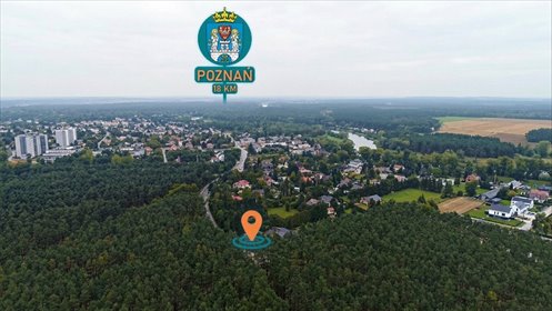 1233 m² spokoju. Las za płotem w Puszczykowie działka Puszczykowo, Jeździecka