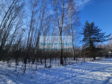 Urokliwa działka 3125 m² z zadrzewieniem i mediami działka Jaktorów