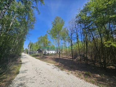 Działka 1500 m² z mediami i planem zagospodarowania działka Szczęsne