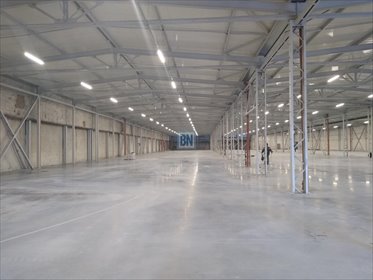 Hala magazynowa 5910 m² z biurami i placem w Zabrzu lokal użytkowy Zabrze