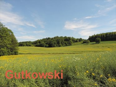 Działka 2223 m² z widokiem na las i jeziora - polecam! działka Lekarty, Powiat nowomiejski, Gmina Nowe Miasto Lubawskie