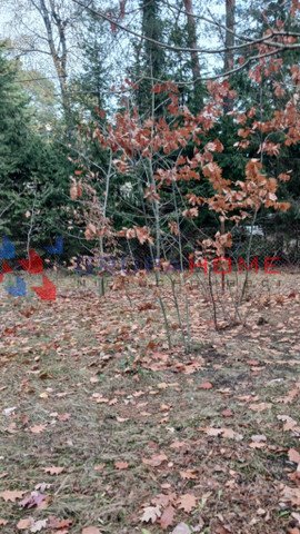 działka na sprzedaż 500m2 działka Konstancin-Jeziorna