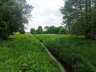 Działka rolna na sprzedaż Nowe Marzy 7 800m2 Foto 1