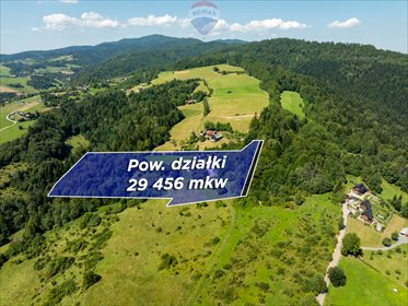 działka na sprzedaż 29456m2 działka Krościenko Nad Dunajcem, Lubań