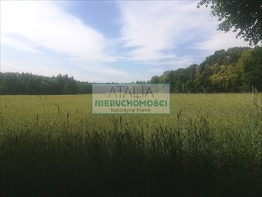 Działka inwestycyjna pod osiedle w Rozalinie, 61 100 m² działka Rozalin