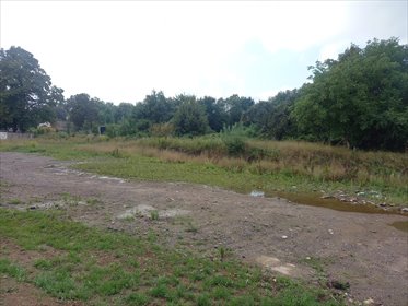 działka na wynajem 1150m2 działka Szczawno-Zdrój