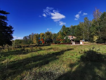 Działka 9100 m² w Owczarni - potencjał inwestycyjny działka Owczarnia
