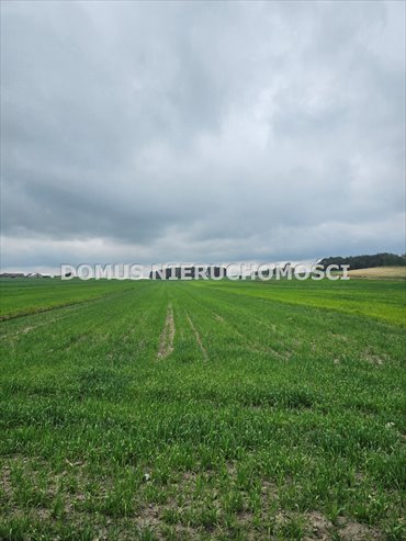 Działka 4700 m² pod zabudowę siedliskową w Chociszewie działka Chociszew