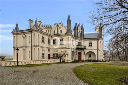 Pałac w Patrykozach (998 m²) z zabytkowym parkiem 3,5 ha dom Patrykozy-Kolonia