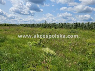działka na sprzedaż 1083m2 działka Sierzchów, Ogrodowa