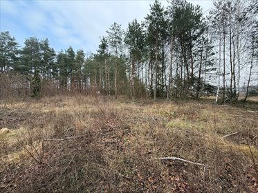 działka na sprzedaż 3300m2 działka Wólka Szczawińska