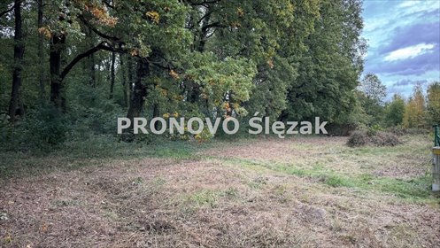 Zapraszam do obejrzenia działki 1290 m² z mediami w Siemianicach działka Siemianice, Siemianice