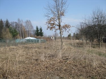 Działka budowlana na sprzedaż Minkowice 2 800m2 Foto 1