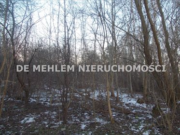 działka na sprzedaż 3150m2 działka Sosnowiec, Zagórze