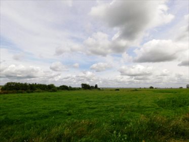 Działka rolna na sprzedaż Szczepanki 91 700m2 Foto 4