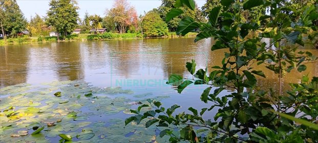 działka na sprzedaż 53328m2 działka Adamowizna