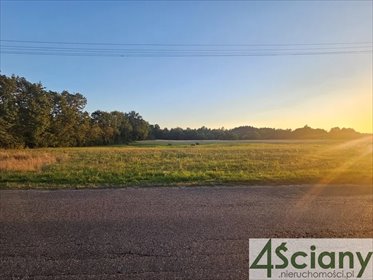 działka na sprzedaż 4065m2 działka Lelewo